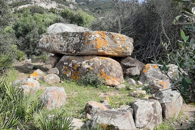 Private Prehistoric and Ancient Tour in Strait Natural Park - Booking Process Overview