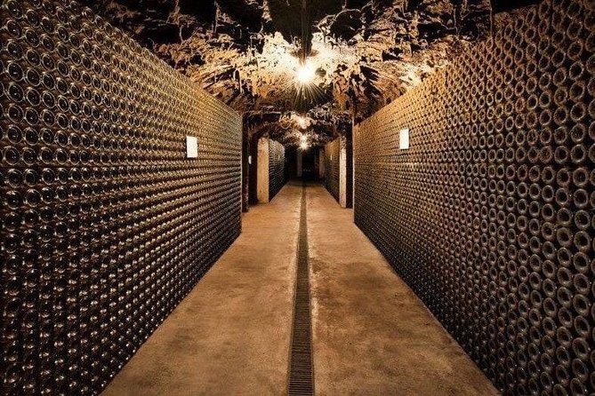 Private Premium Bairrada Tour: 3 Wineries, Wine Tastings & Lunch - Tour Highlights