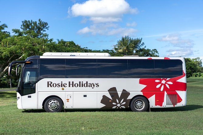 Private Premium Departure Transfer : Hotel to Nadi Airport - Miscellaneous