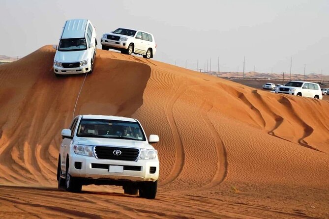 Private Premium Desert Safari 4x4 Vehicle With BBQ Dinner - DUBAI - Tour Highlights
