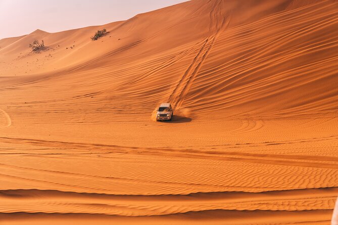 Private Premium Dubai Evening Dune Bashing With Live BBQ - Additional Information and Terms & Conditions