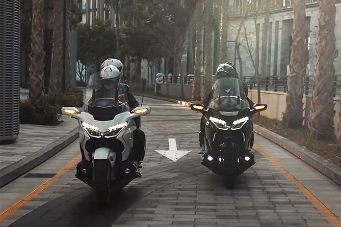 Private Premium Passenger Motorcycle Tours - Motorcycle and Passenger Details