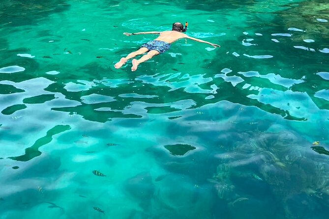 Private Premium Speed Boat to Phi Phi & Maya Bay - Itinerary Highlights