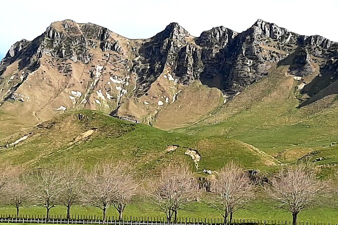 Private Prestigious Wine Tour in Napier - Gourmet Food Pairings