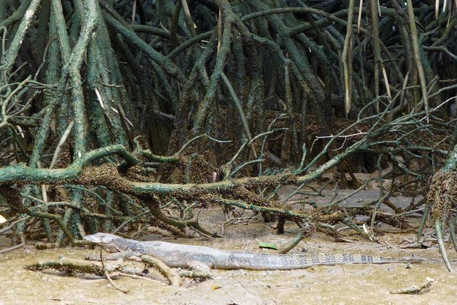 Private Proboscis Monkey & Water Village Tour - Frequently Asked Questions