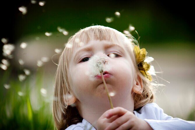 Private Professional Photo Shoot around Salt Lake City - Who Will Benefit Most?