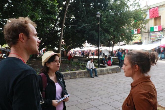 Private Professional Tour Guide in Oaxaca 3 hours - Best Rated - Transportation and Flexibility