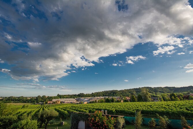 Private Prosecco and Brilliant Gin Tasting Experience From Venice - Meeting Point Details