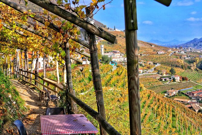 Private Prosecco Tour, From Venice or Treviso, With a Certified Sommelier - Inclusions