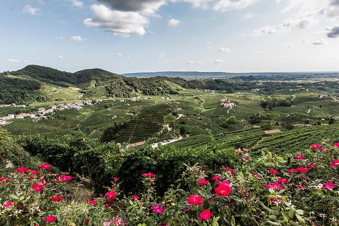 Private Prosecco Tour, From Venice or Treviso, With a Certified Sommelier - Meeting Point