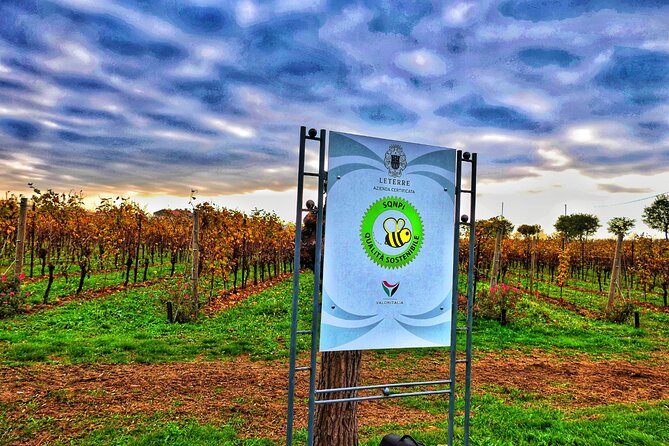 Private Prosecco Tour, From Venice or Treviso, With a Certified Sommelier - Booking Information