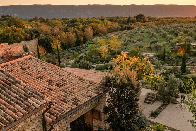 Private Provence Olive Estate Tour and Olive Oil Workshop - Common Questions