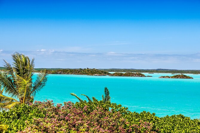 Private Providenciales Island Tours of Turks and Caicos - Booking Process and Reservation