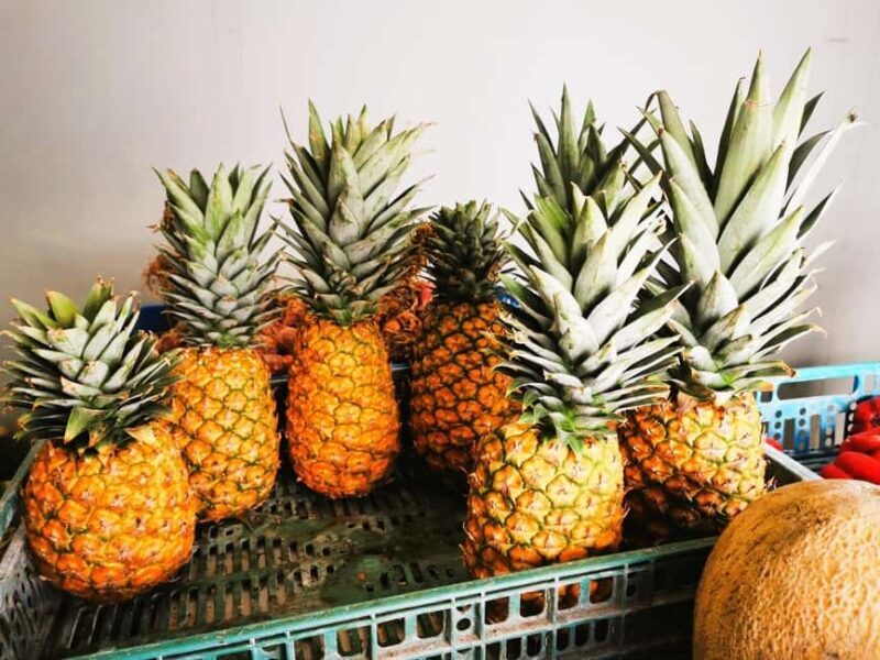 Private Puerto Plata Food Tour and Beach Chillout - Good To Know