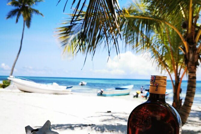 Private Puerto Plata Food Tour and Beach Chillout - Dive Into the Details: An In-Depth Look at the Tour