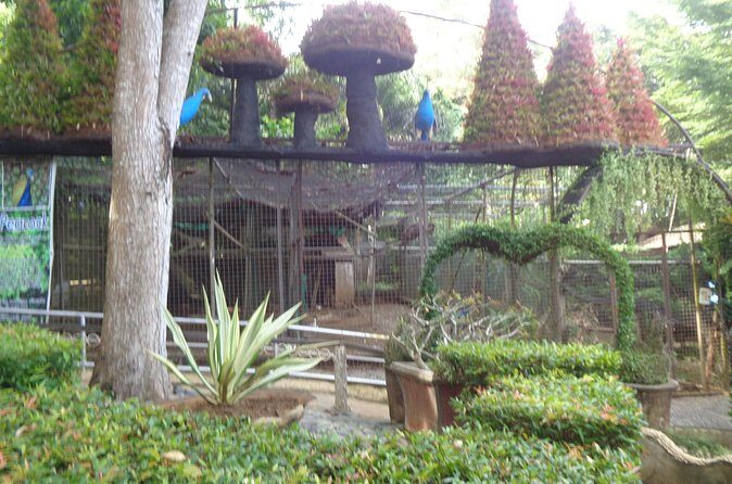 Private Puerto Princesa City Tour : A Sightseeing Excursion - FAQ About the Puerto Princesa City Tour