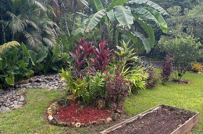 Private Puerto Rican Cooking Class with Cocktails Near San Juan - The Sum Up