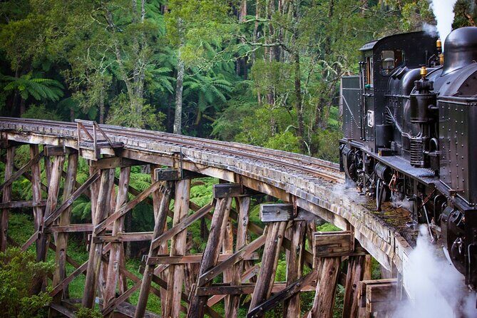 Private Puffing Billy Steam Train and Healesville Sanctuary Tours - What the Tour Includes and What to Budget For