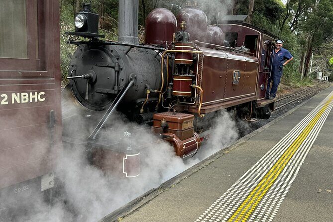 Private Puffing Billy Steam Train and Healesville Sanctuary Tours - FAQ
