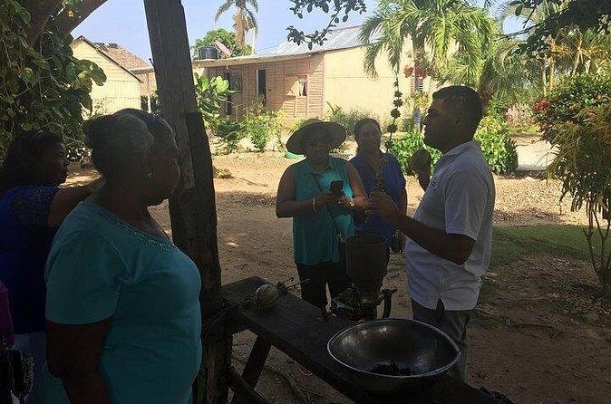 Private Punta Cana Airport Service - Who Is This Tour Best For?