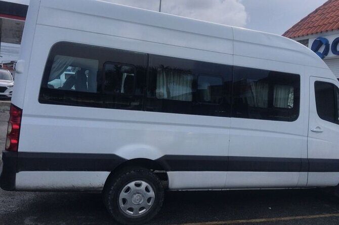 Private Punta Cana Airport Transfers Hotels in Dominican Republic - Final Thoughts: Who Is This Transfer Best For?