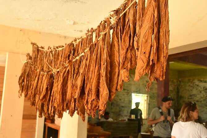 Private Punta Cana Beyond-the-Resort Local Life Tour - What We Love About This Tour