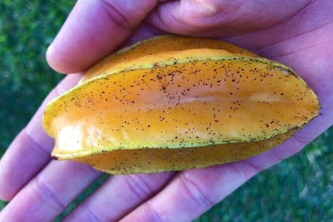 Private Punta Cana Beyond-the-Resort Local Life Tour - Potential Considerations