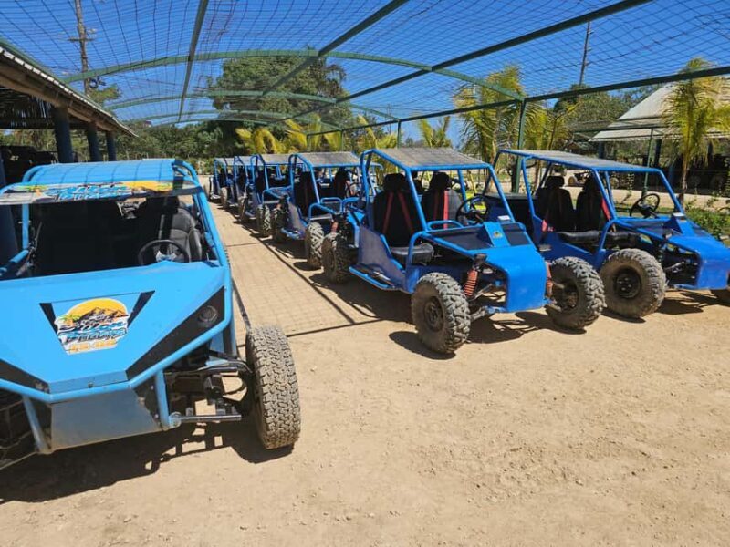 Private: Punta Cana Boogie Boarding & Parasailing Adventure - The Value of a Private Experience