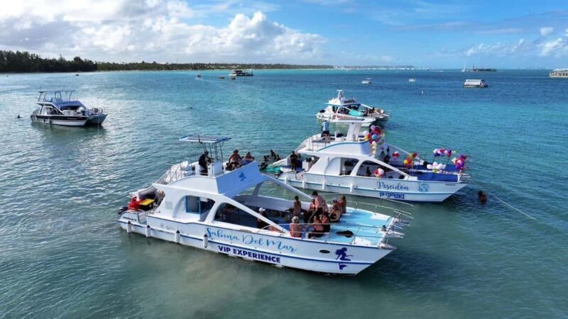 Private Punta Cana Cruise with Snorkeling & Open Bar Party - Practical Tips for Your Trip