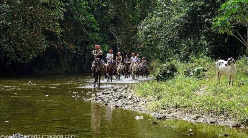 Private Punta Cana Full-Day Safari & Nature Adventure - An In-Depth Look at the Tour Experience