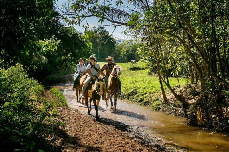 Private: Punta Cana: Horseback Riding Tour with Sunset - An In-Depth Look at the Horseback Riding Sunset Tour