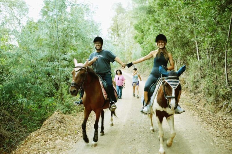 Private: Punta Cana: Horseback Riding Tour with Sunset - What It Means for Travelers