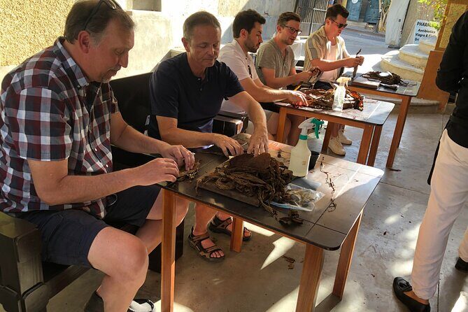 Private Puro Cigar Creation Workshop in Los Cabos - Accessibility and Practical Details