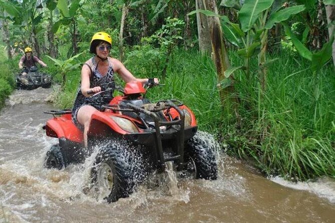 Private Quad Bike Experience in Bali - What to Expect on the Tour