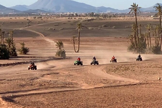 Private Quad Ride in the Desert of the Palm Grove - Service Accessibility