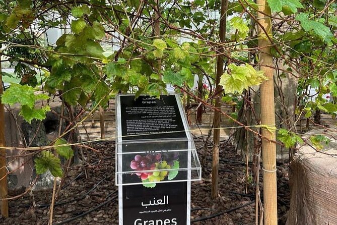 Private Quranic Park Tour in Dubai - Pickup and Meeting Details