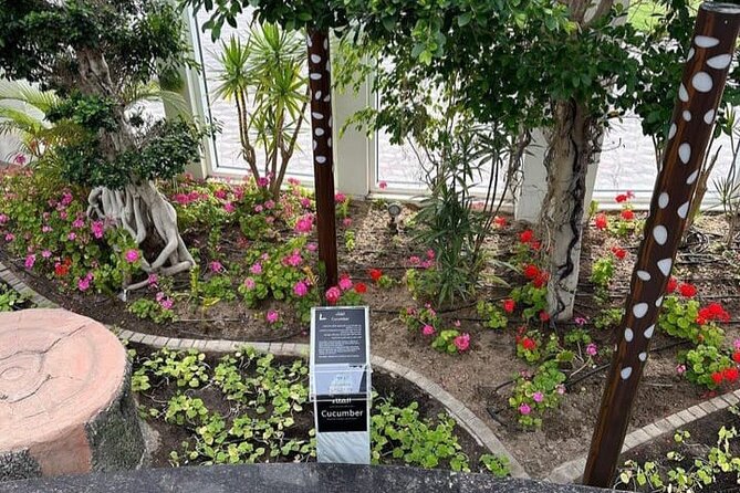 Private Quranic Park Tour in Dubai - Questions and Contact Information