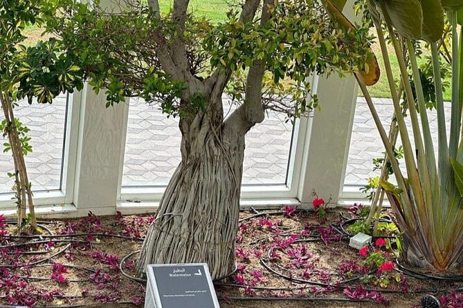 Private Quranic Park Tour in Dubai - Directions