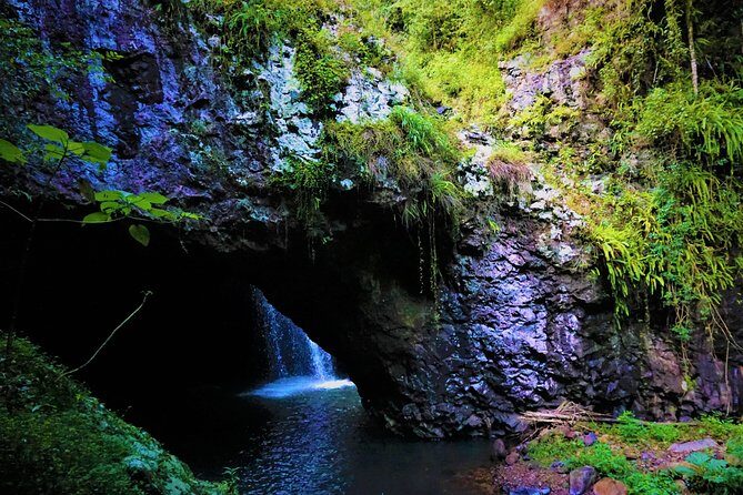 Private Rainforest & Wildlife Tour - Build Your Own Experience - Authentic Experiences Highlighted by Travelers