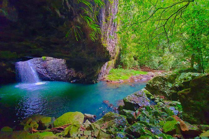 Private Rainforest & Wildlife Tour - Build Your Own Experience - Summary: Who Is This Tour Best For?