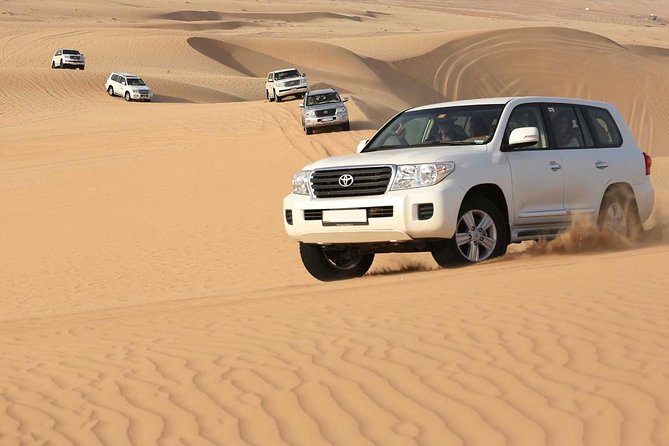 PRIVATE Red Dune Desert Safari, BBQ Dinner, Camel Ride & Falcon Photo - Pricing and Guarantee