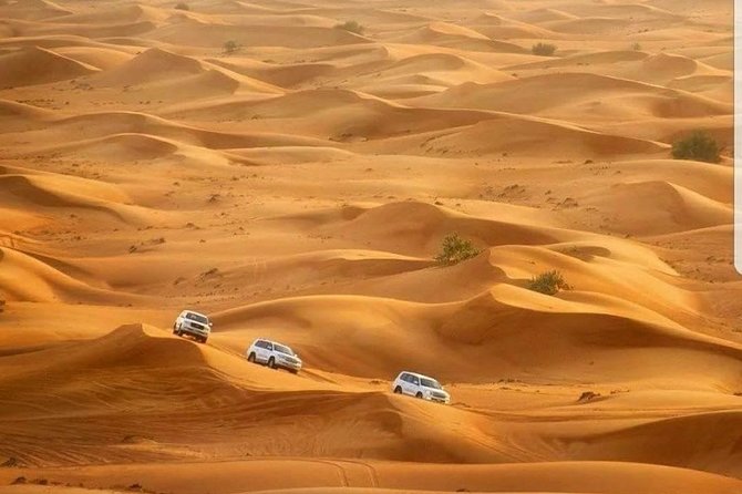 Private Red Dunes Desert Safari Dubai - Questions and Help