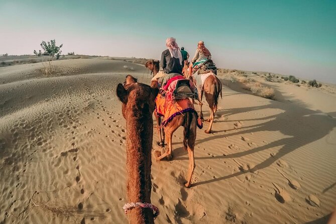 Private Red Sand Desert Safari With Camel Ride and Sand Boarding - Add-On Option: All-Terrain Vehicle (Atv) Bike Rides