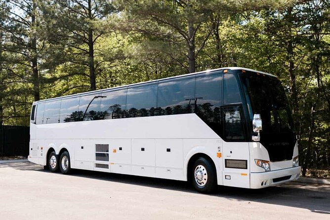 Private Reggae Sumfest Round Trip Transportation - Infant and Stroller Accommodations