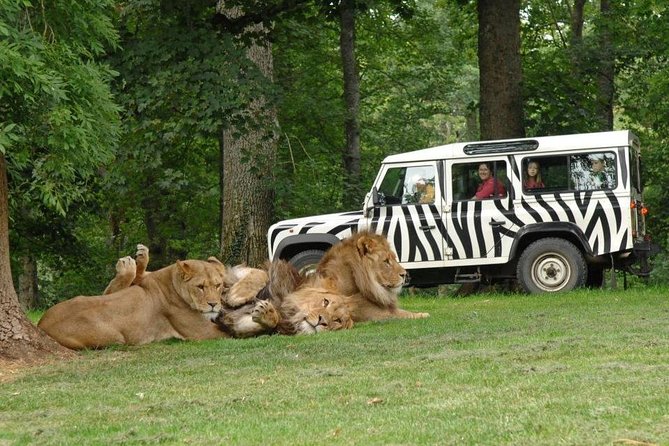 Private Return Transfer Thoiry Zoo Safari From Paris - Check Availability