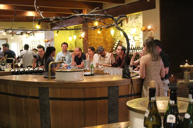 Private Return Transfer to Hermanus Whale Watching Wine Tasting Penguins F/D - Accessibility Information