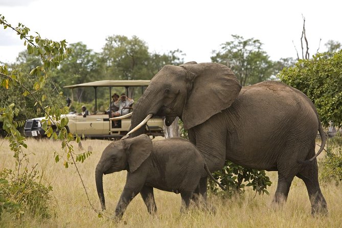 Private Return Transfers From Cape Town to Sanbona Wildlife Reserve - Pricing and Guarantee