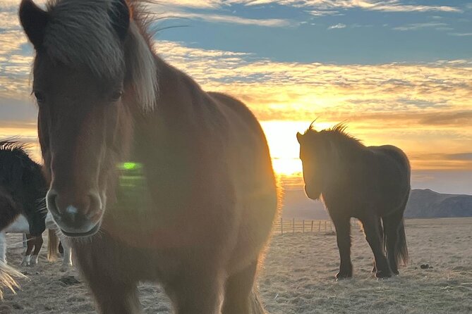 Private Reykjanes Peninsula Guided Tour - Inclusions