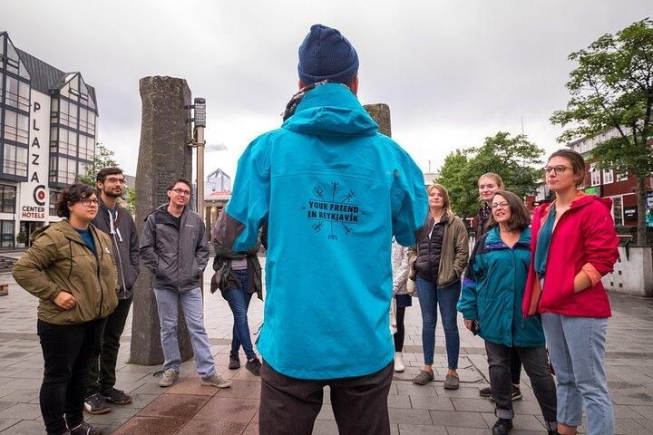 Private Reykjavik City & Food Walking Tour - Inclusions