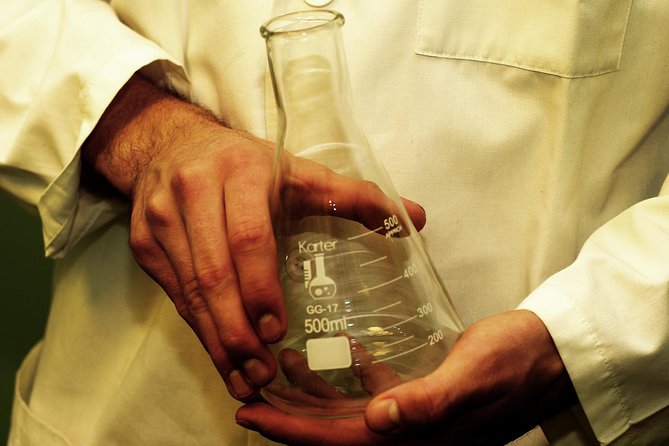 Private Reykjavik Escape Game Experience: The Scientist 1 - Additional Information for Participants